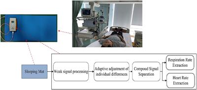 Accurate Estimation of Heart and Respiration Rates Based on an Optical Fiber Sensor Using Adaptive Regulations and Statistical Classifications Spectrum Analysis